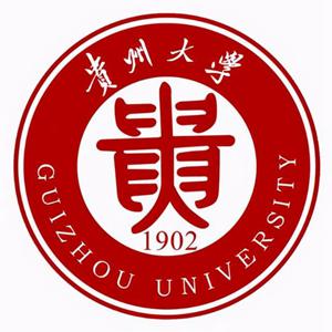 贵州大学2021年贵州省艺术类本科分数线